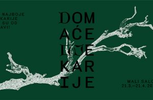 Izložba “Domaće ljekarije” posvećena ljekovitom bilju otvara se sutra u MMSU