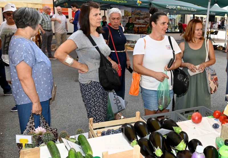 100_posto_zagorsko_rijeka_2026__2_