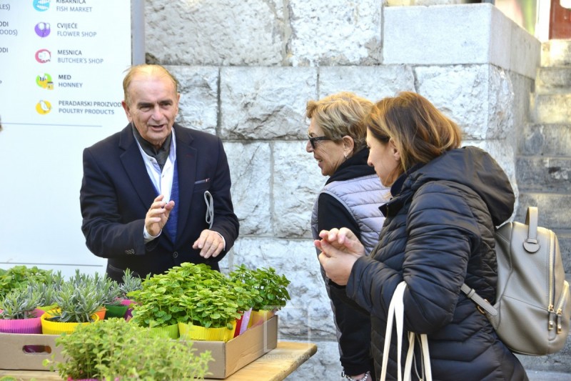 8_mart_sdp_mrkat__1_ 