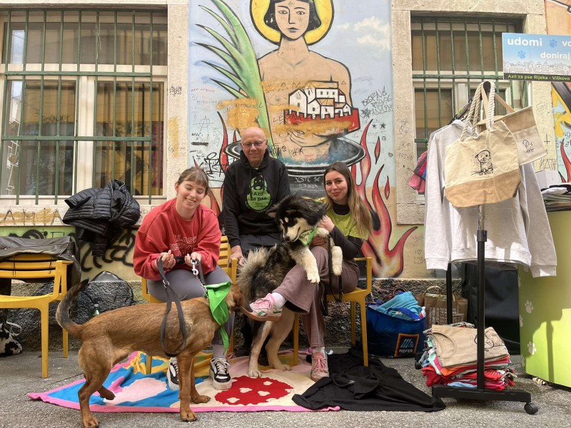 Back_to_the_Roots_palach_2026__8_