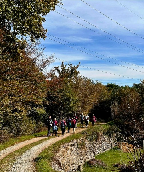 Bike_hike_viskovo_2026__4_ 