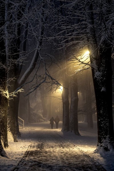 Boris-Pintar-Tiha-noc-1024x1536