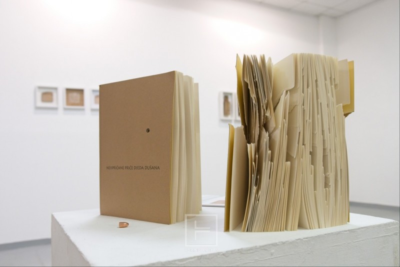 Borislav_Bozic_Memorija_moga_djeda_izlozba__8_