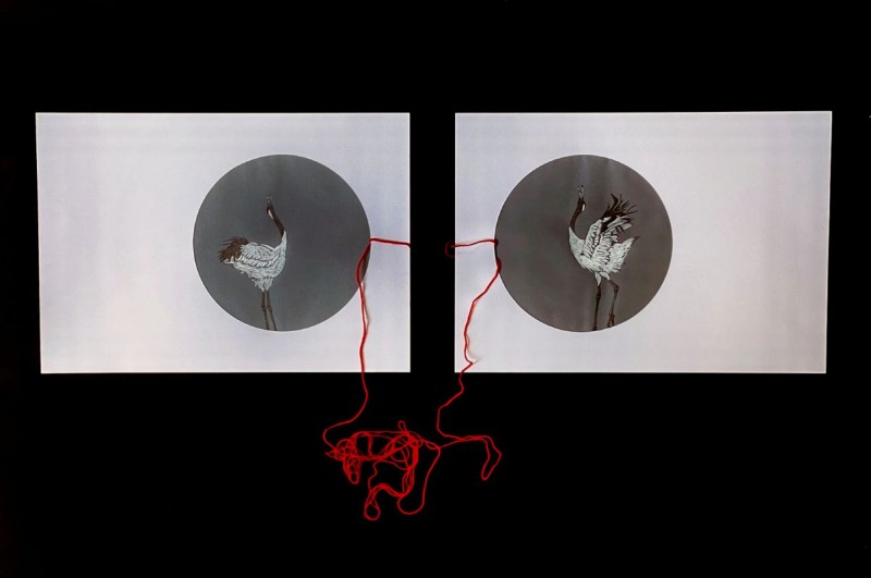 Carry-Lee_Hent-Red_Thread_of_Fate_2024-crtez-vunena_nit-001 