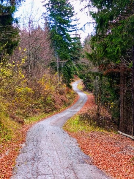 Dragan-Malnar-Valovi-lisca-1157x1536