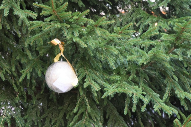 Kuglice-dobrih-zelja-Rincic-8 