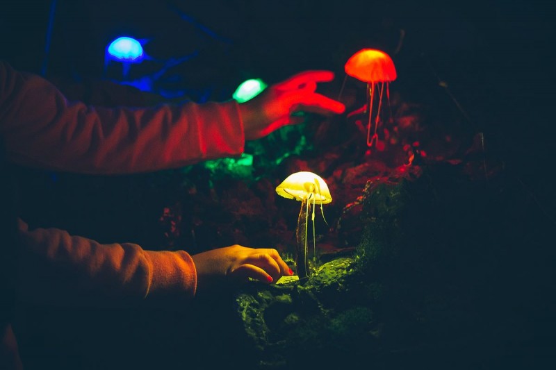 MAGIC_GARDEN_VISUALIA