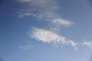 Oblak 