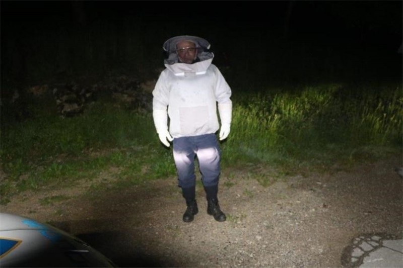 PP_Vrbovsko_pcele 