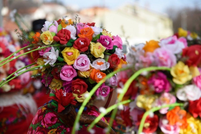 Pusne_rozice_-_ZAM_1494 