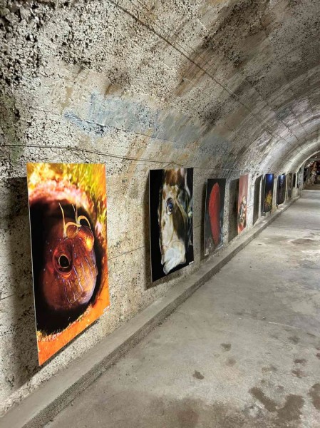 Rijecki_tunel_-_izlozba