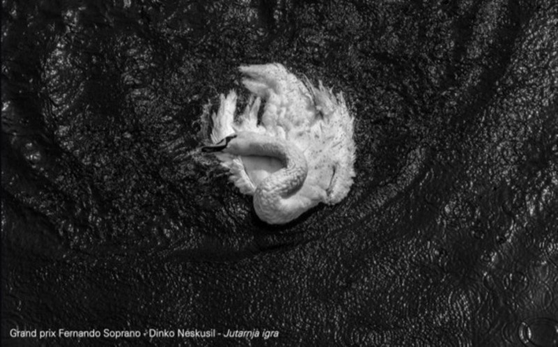 Salon_crno_bijela_fotografija_2025_Rijeka 