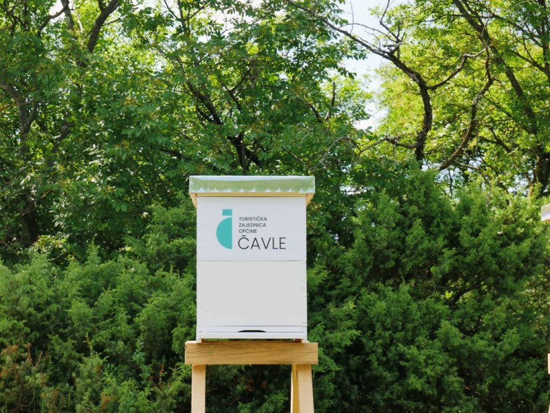 TZ_Cavle