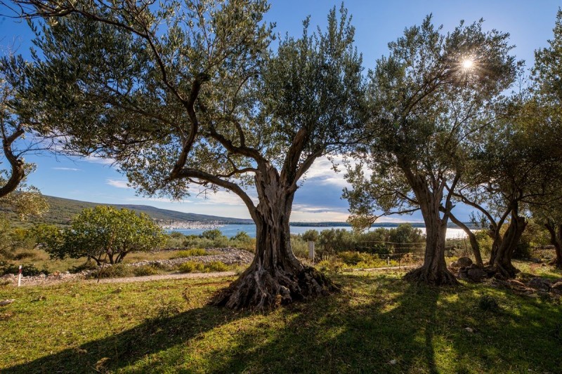 TZ_Kvarnera_-_autor_Luka_Tabako