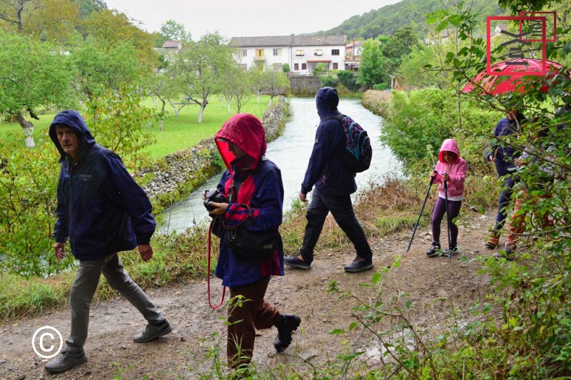 Urbani_separe_-_Park_prirode_Ricina-73842 