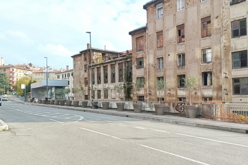 Vaze-sa-stablima-maslina-na-nogostupu-uz-garazu-Zagrad-1-1200x800 