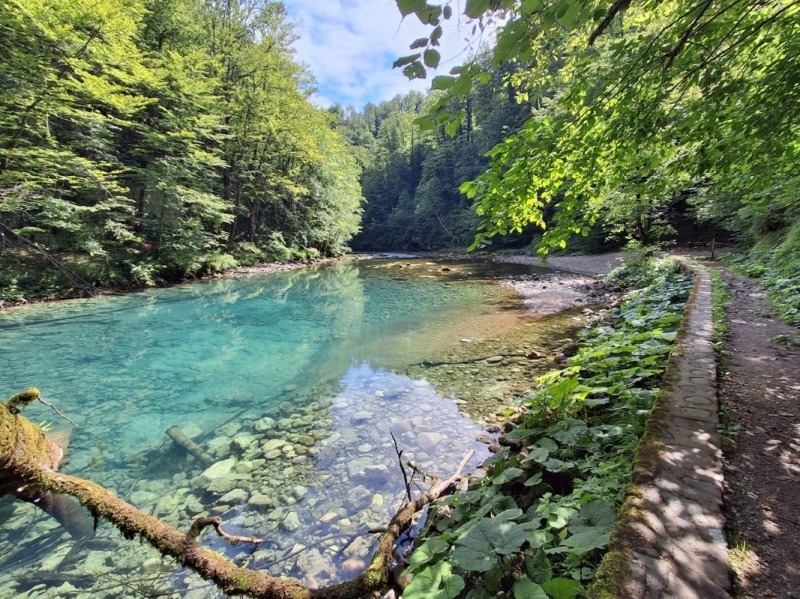 arhiva_NP_Risnjak 