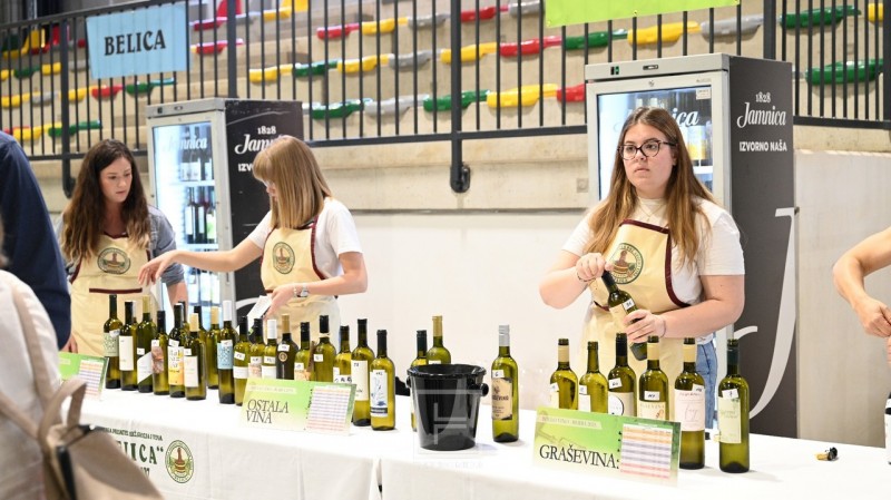 belica_2026_kastav__21_ 