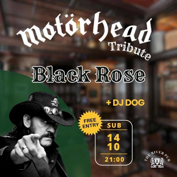 black_rose_plakat 