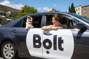 bolt_pet 