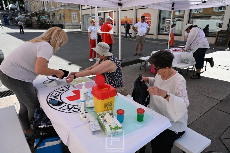 crveni_kriz_korzo_2026__4_