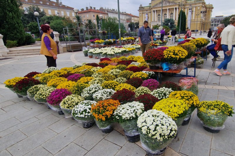 cvijece_placa_rijeka_plus_svi_sveti_01 