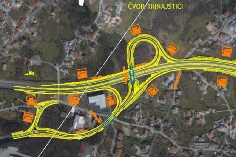 cvor_trinajstici-09724