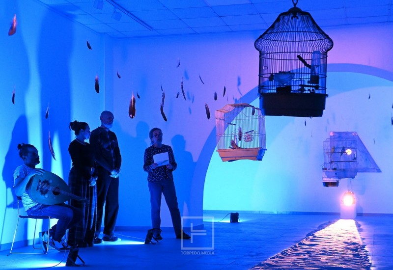 damir_segota_prerformans_2026__5_ 