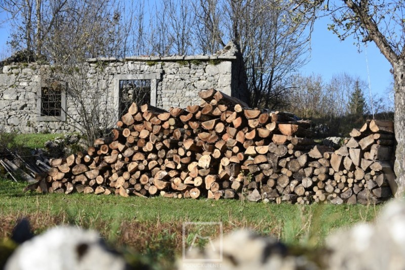 drva_za_ogrjev_2023__1_ 