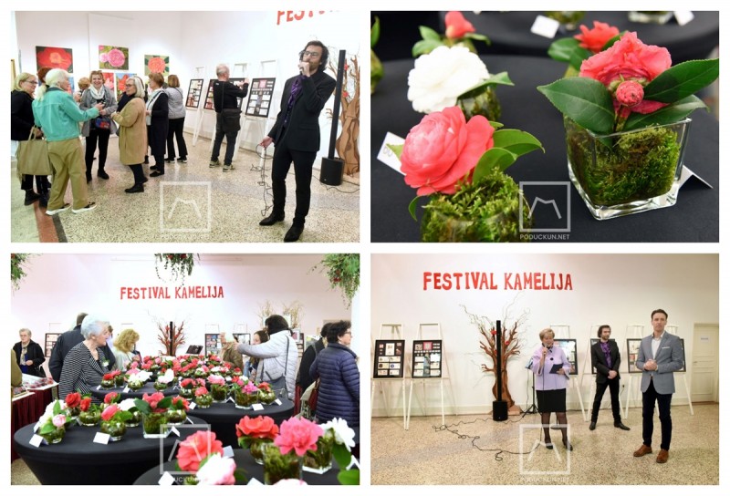 festival_kamelija_izlozba_soorer_2024 