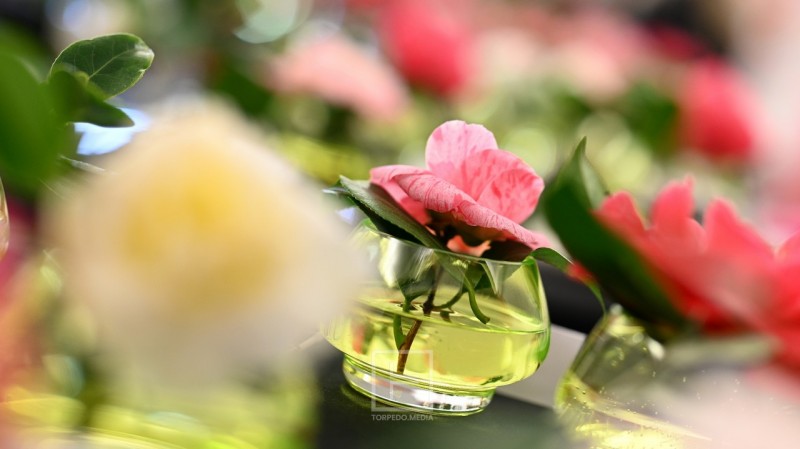 festival_kamelija_tz_opatija__24_