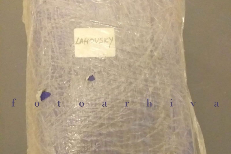 fotoarhiva__Lahovsky_Najava1 