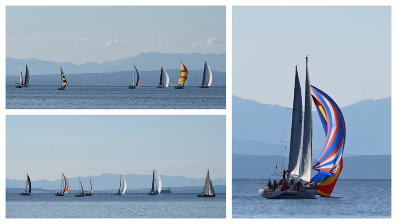 galijola_start_2025