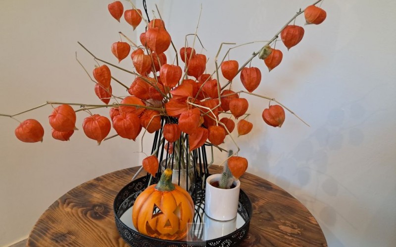 halloween_noc_vjestica 