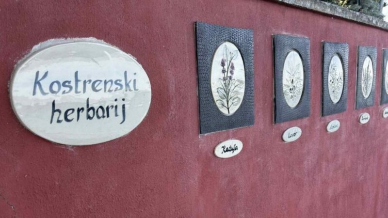 herbarij
