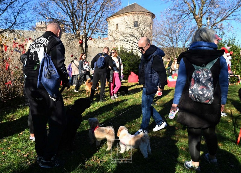 hoho_pseci_advnet_2025__1_