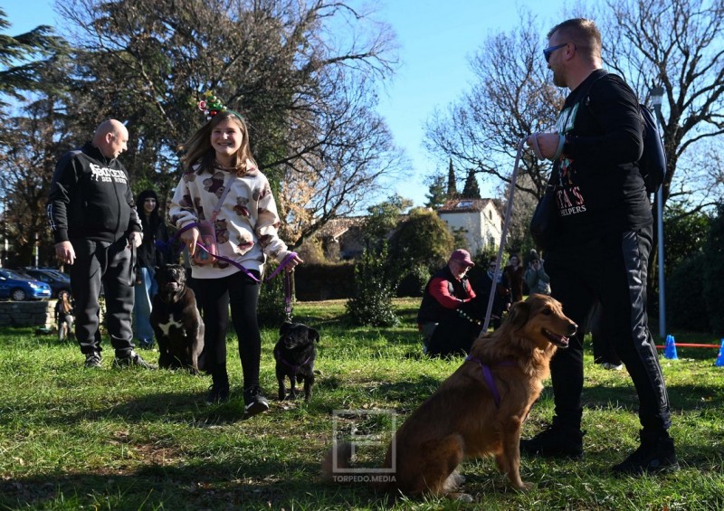 hoho_pseci_advnet_2025__2_