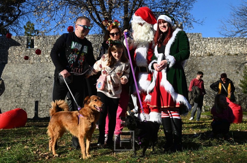 hoho_pseci_advnet_2025__3_