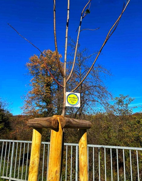 hrvatska_prirodno_tvoja_viskovo_-1