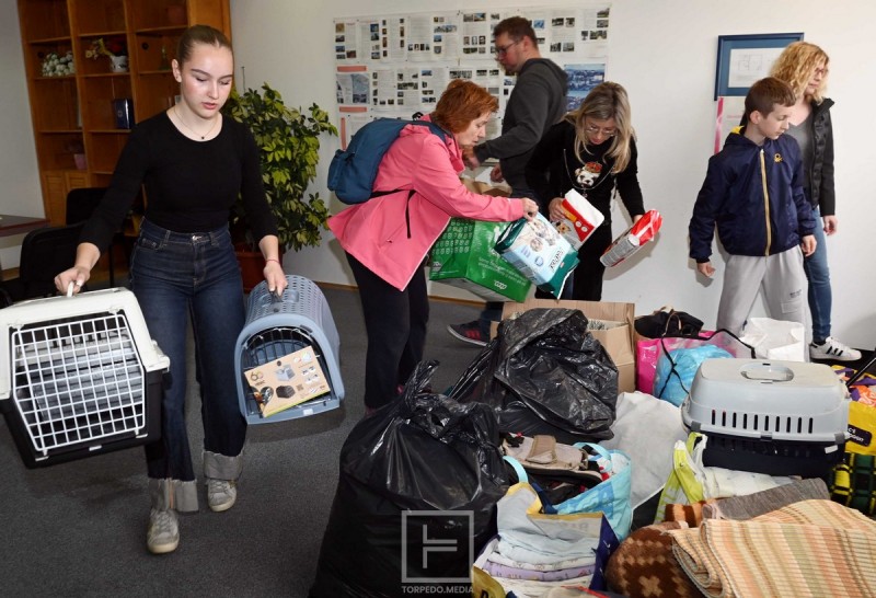 humanitarno_prikupljanje_psi_ucka_azil_2026__10_ 