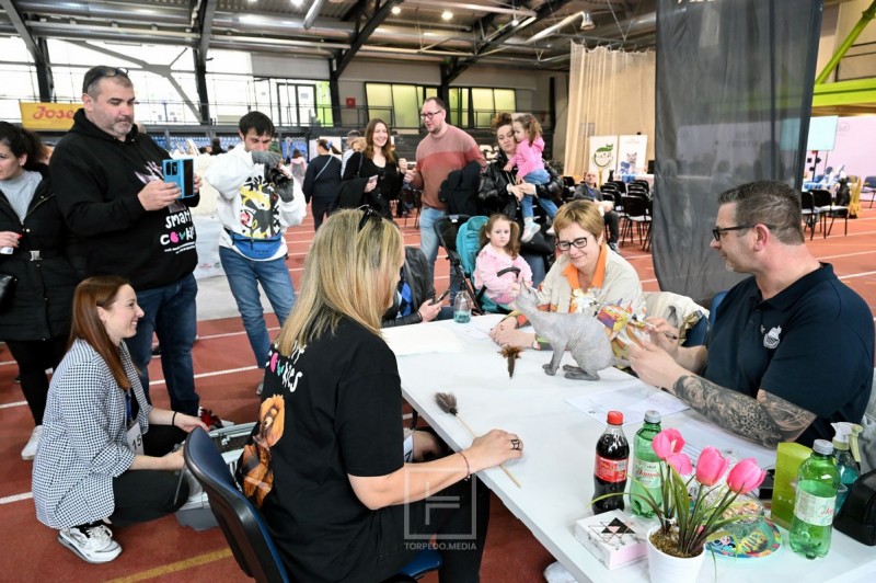 izlozba_macaka_rijeka_2026__23_ 