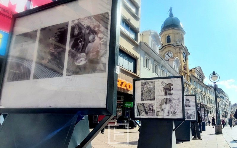 izlozba_zena_foto_color_rijeka_2024__11_ 