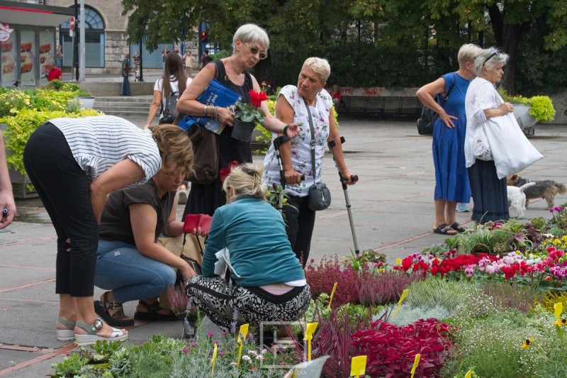 jesenski_sajam_kont_2026__6_ 