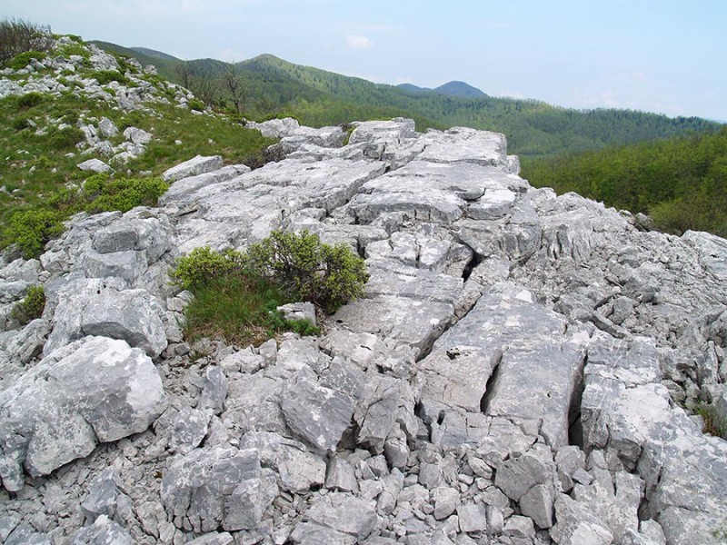 Tri kamenice u kršu riječkog zaleđa