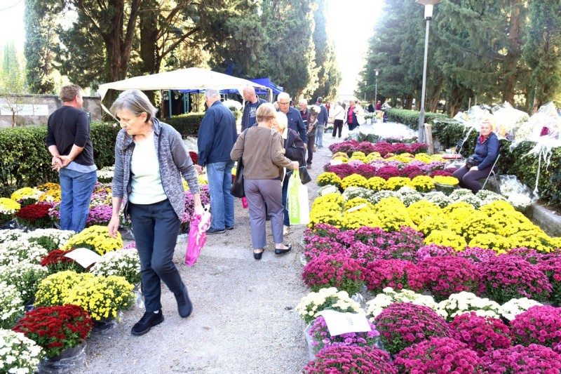 kozala_svi_sveti_2024_groblje__3_