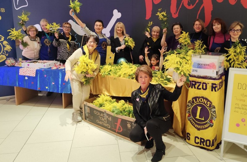 lions_mimoze_ztc_2026__1_ 