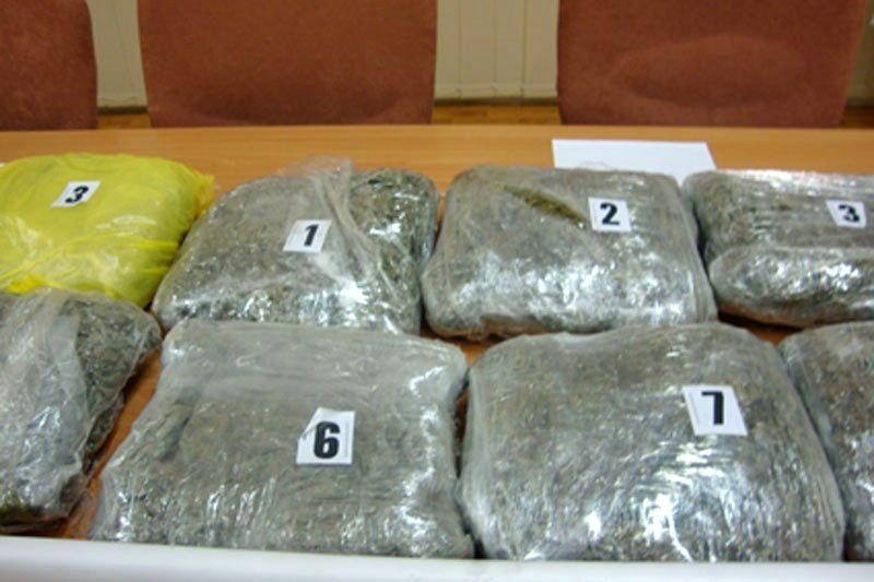 marihuana_pu_pgz-93208 