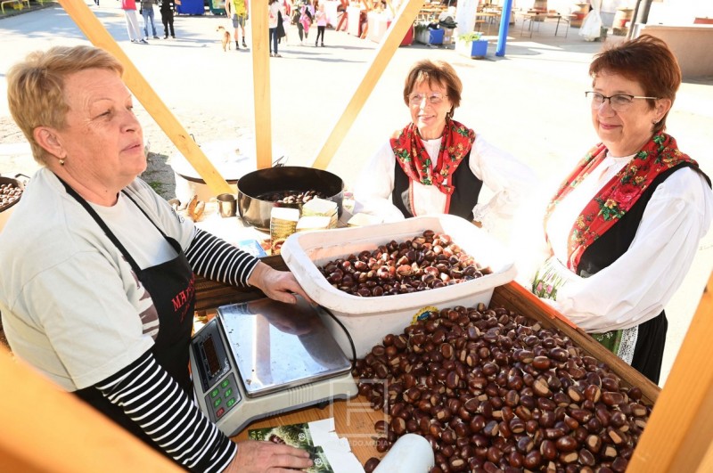 marunada_dobrec_2025__15_ 