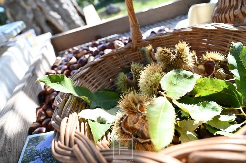 marunada_dobrec_2026_grad_opatija__22_