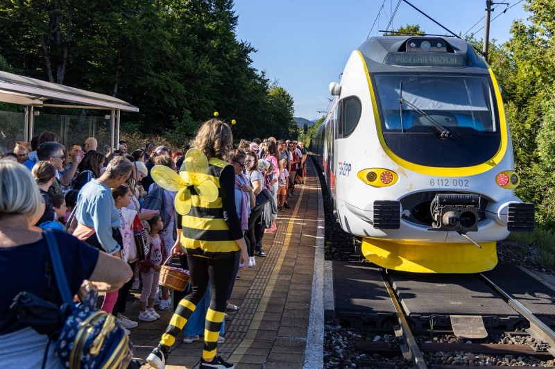 medunfest_2026 